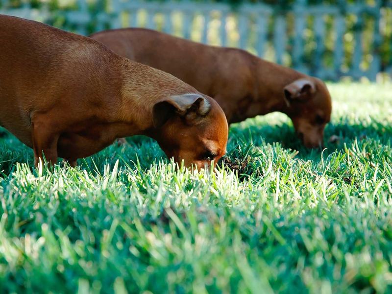 sudoku trophy collection screenshot 5